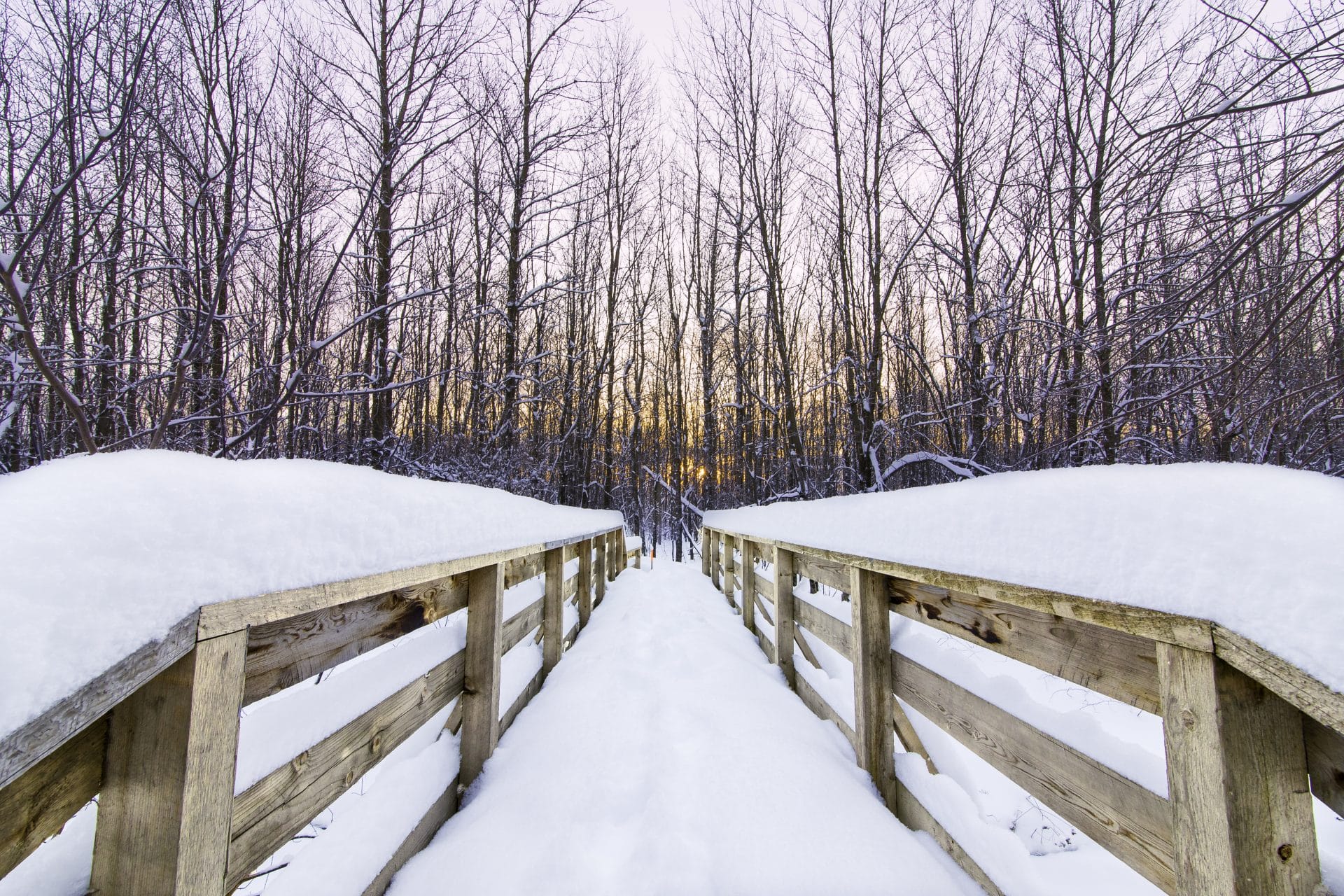 Petit pont en bois dans le boisé du Tremblay, secteur Boucherville.