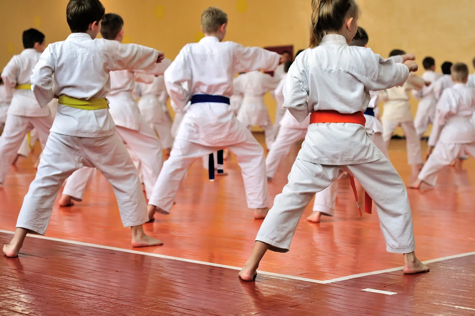 Groupe d'enfants pratiquant le Karaté