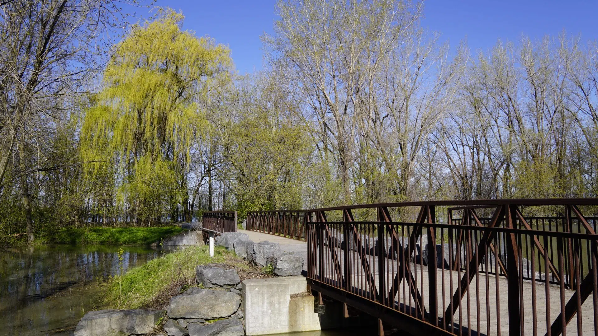 Le marais et un pont au parc de la Frayère à Boucherville.