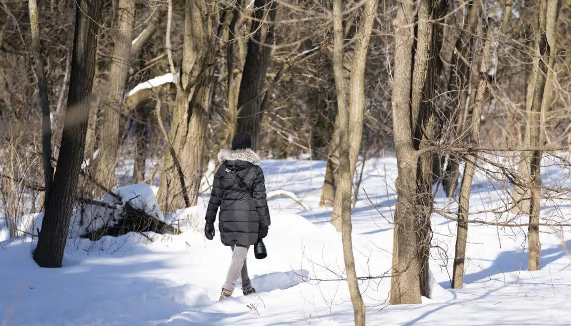 Sentier pédestre déneigé situé dans le parc de la Frayère.