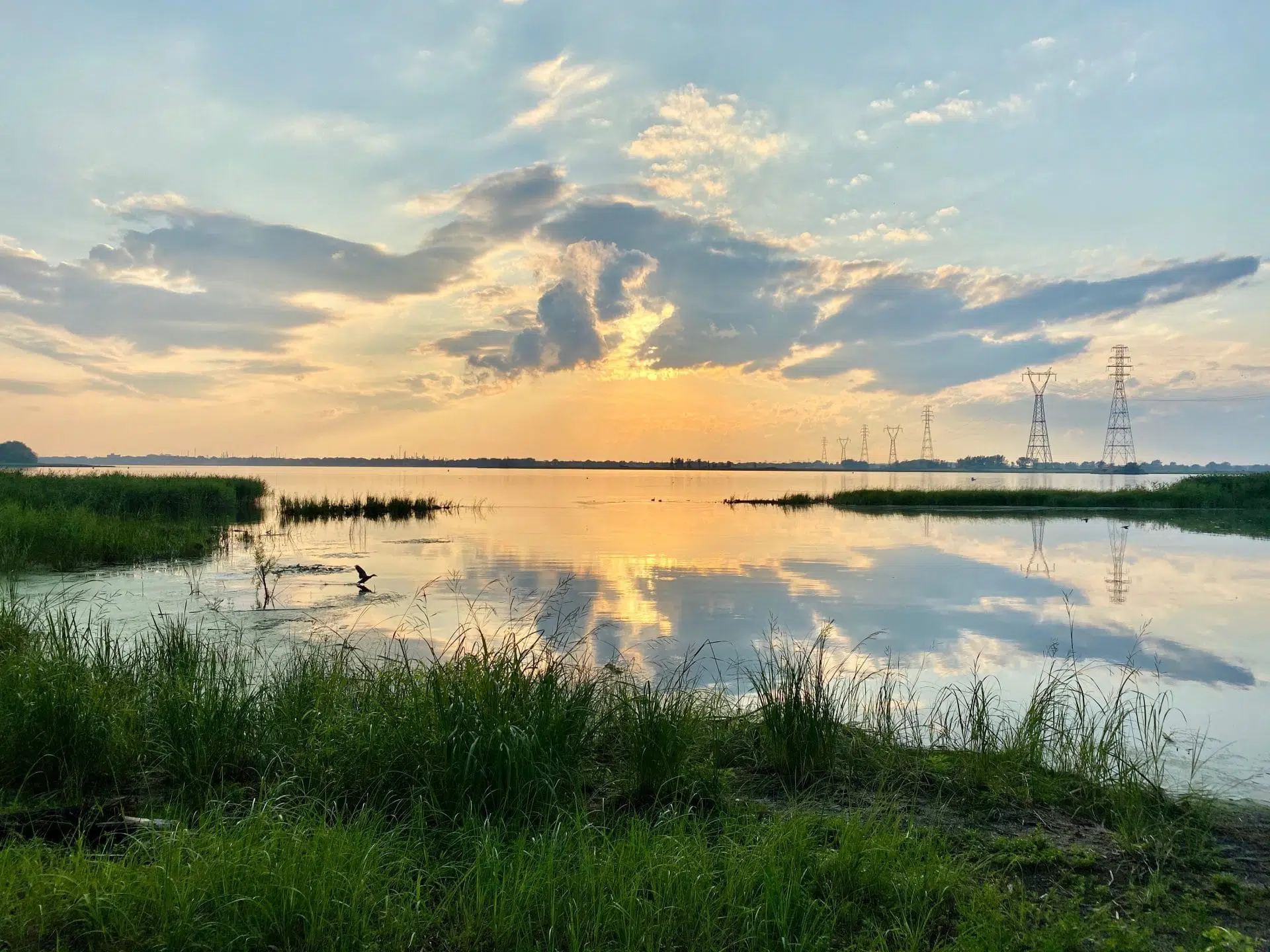 La pouponnière du fleuve située au parc de la Frayère attire de nombreuses espèces d’oiseaux.
