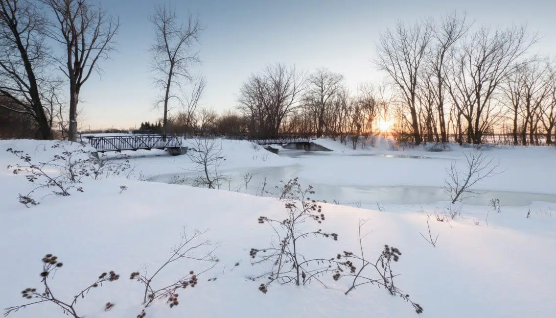 Marais couvert de neige et de glace au parc de la Frayère.