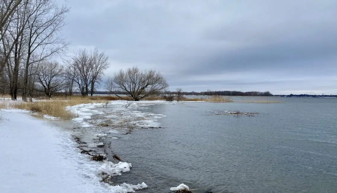 Le parc de la Frayère est un milieu naturel situé aux abords du fleuve.