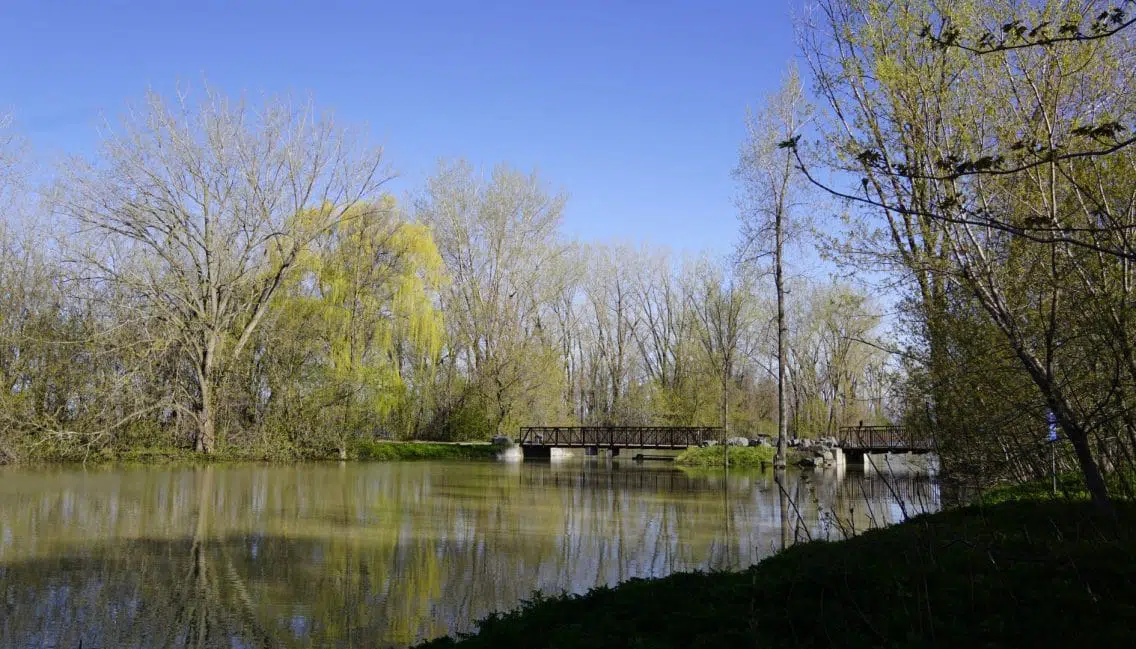 Marais dans toute sa splendeur au parc de la Frayère.