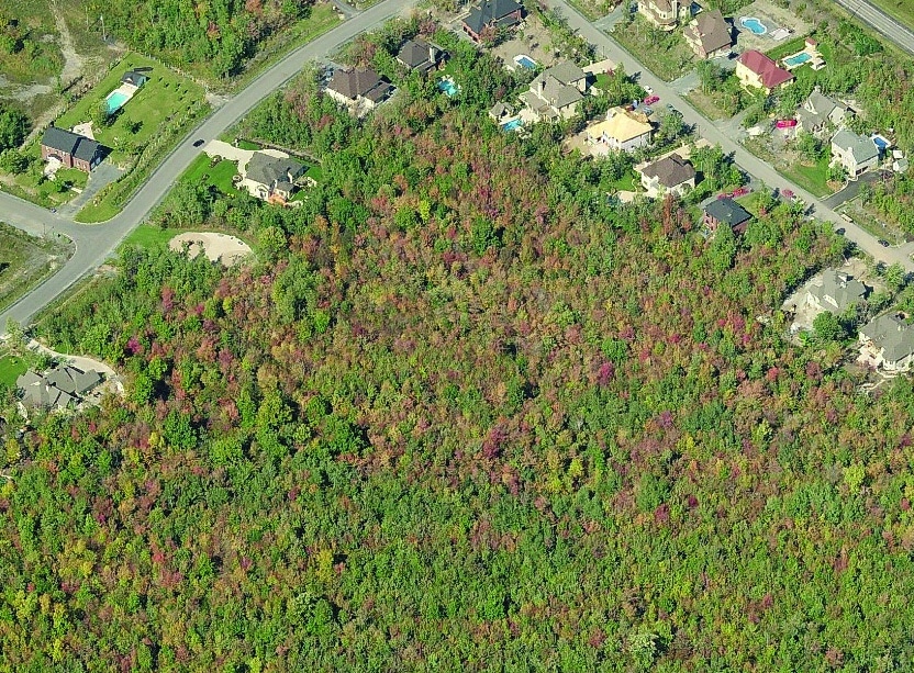 Vue aérienne du parc de la Futaie.