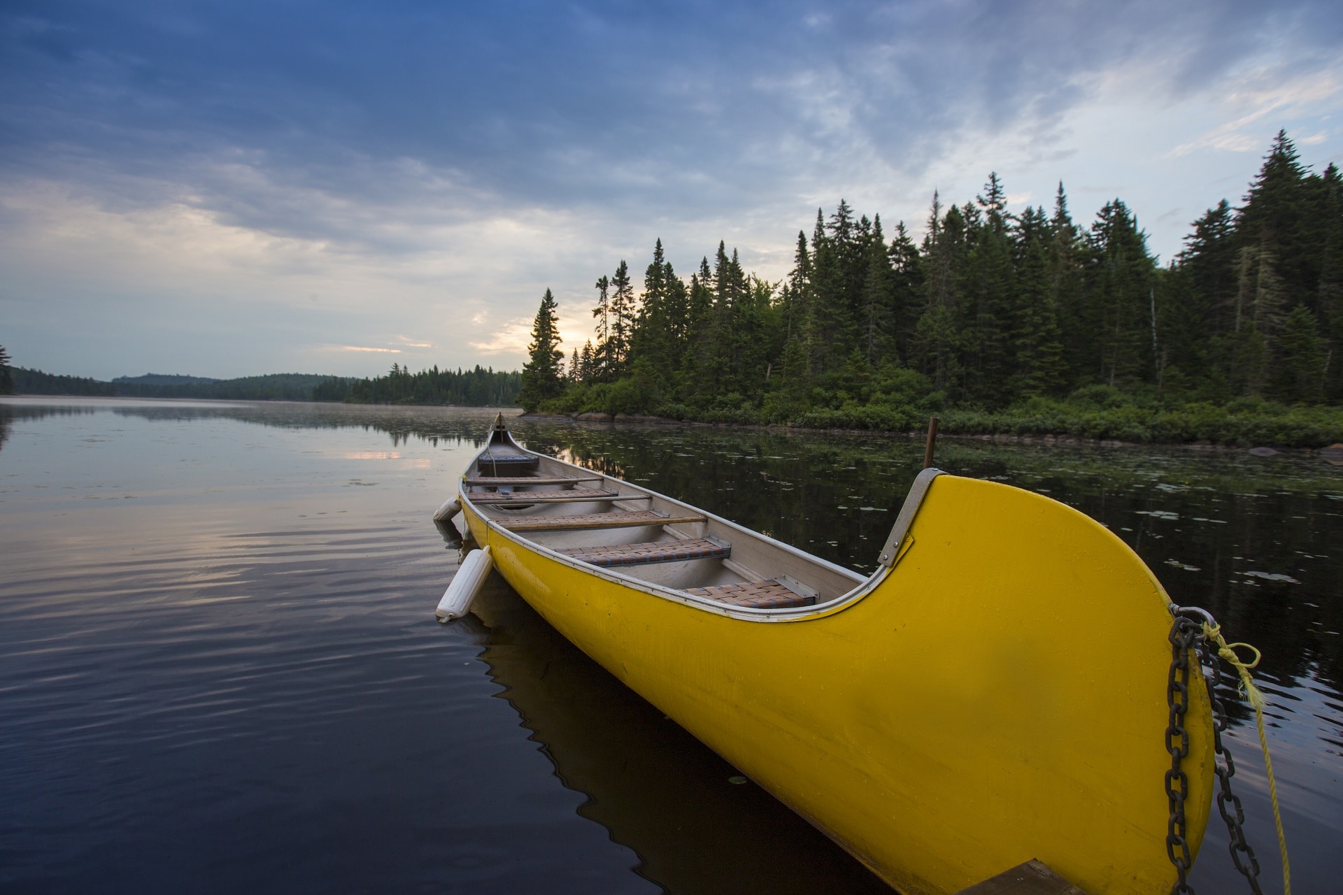Canot sur les rives d'un lac un matin d'été