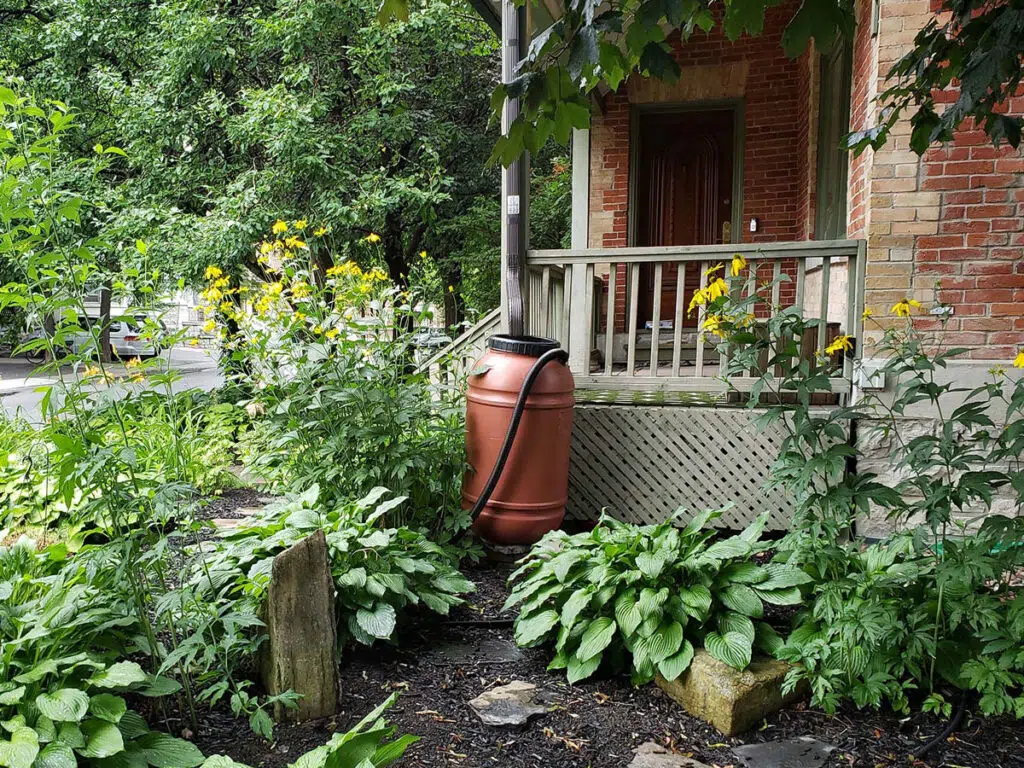 Baril récupérateur d'eau de pluie près d'une maison
