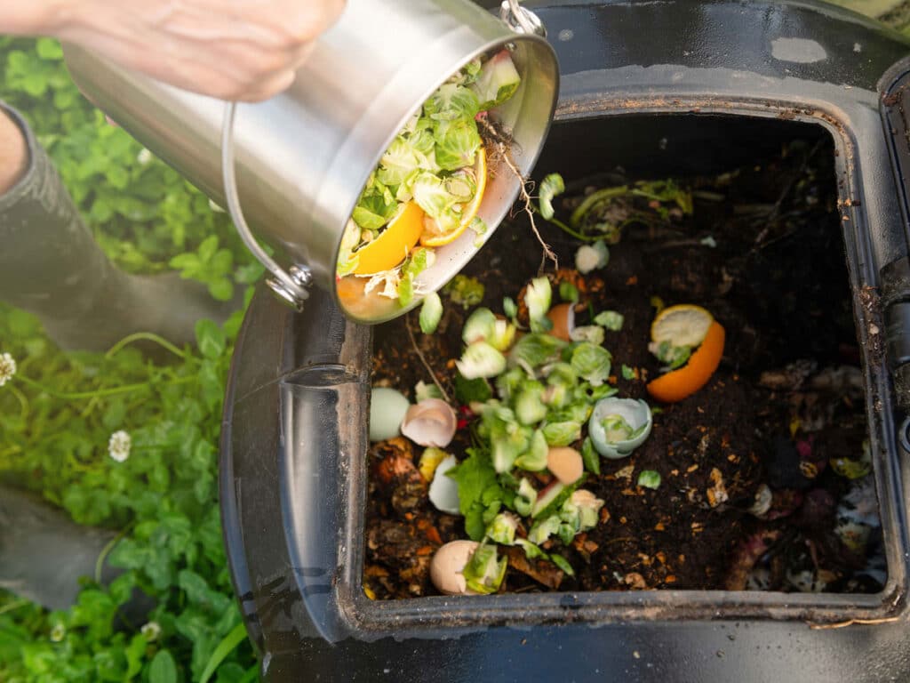 Compostage domestique sans odeurs ni envahisseurs