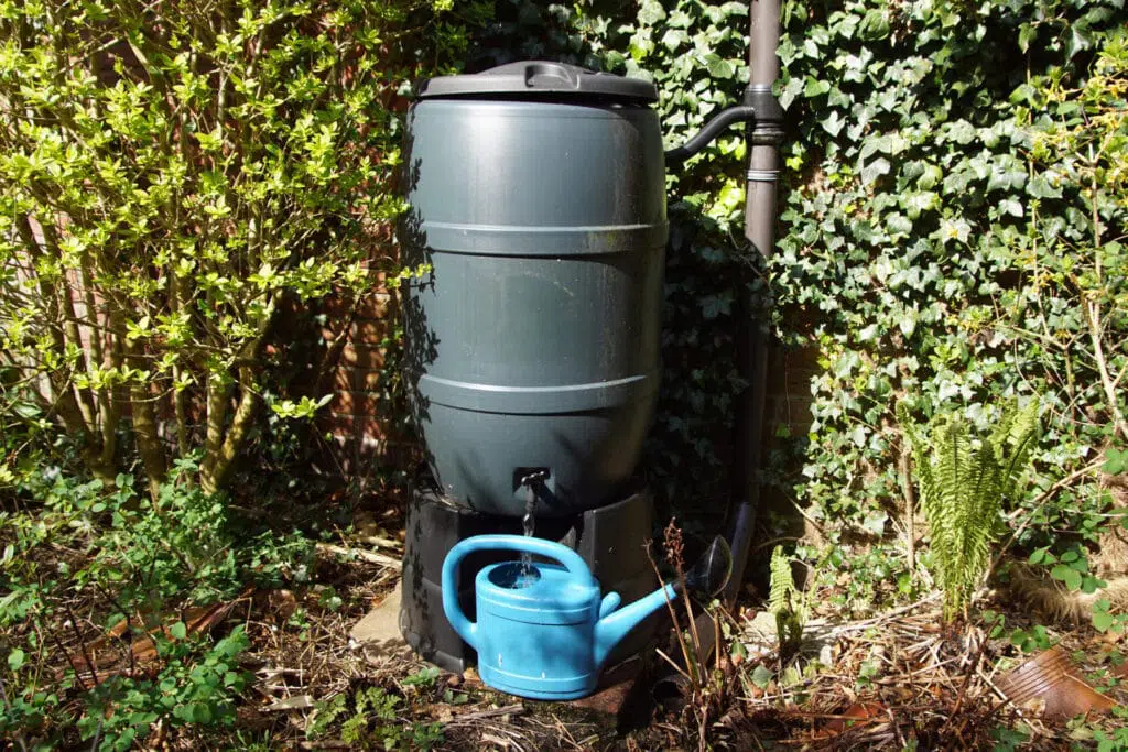 Gros contenant hermétique relié aux gouttières d'un bâtiment et qui récupère l'eau de pluie.