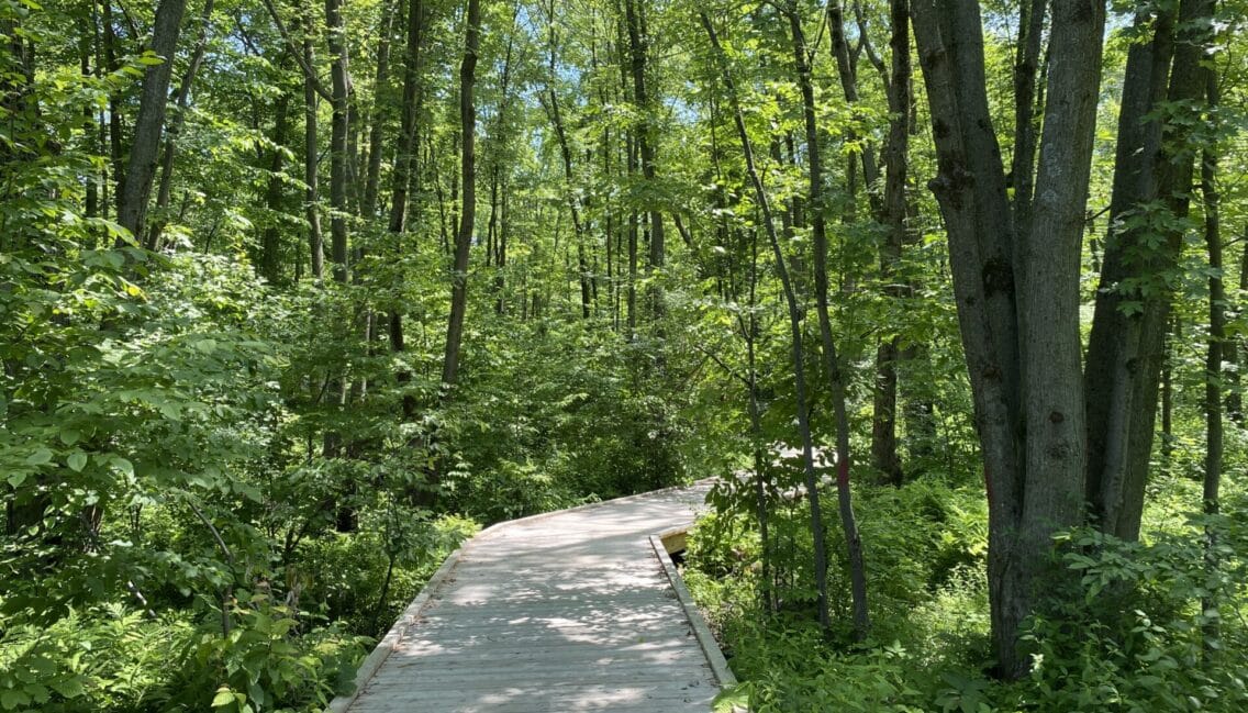 Sentier aménagé au parc du Boisé-du-Pays-Brûlé