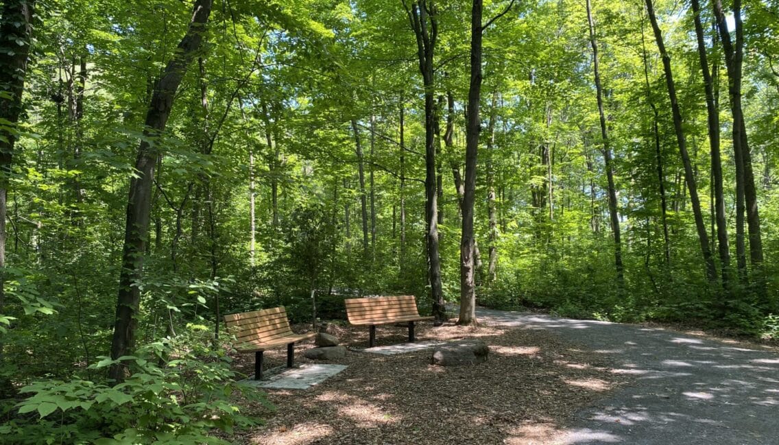 Espace aménagé avec bancs au parc du Boisé-du-Pays-Brûlé