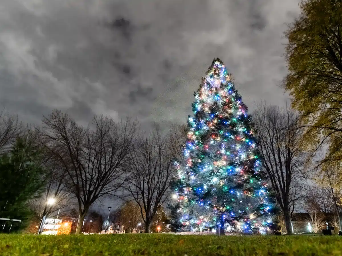 Le grand sapin de l'hôtel de ville illuminé, symbole de solidarité, d'entraide et de générosité.