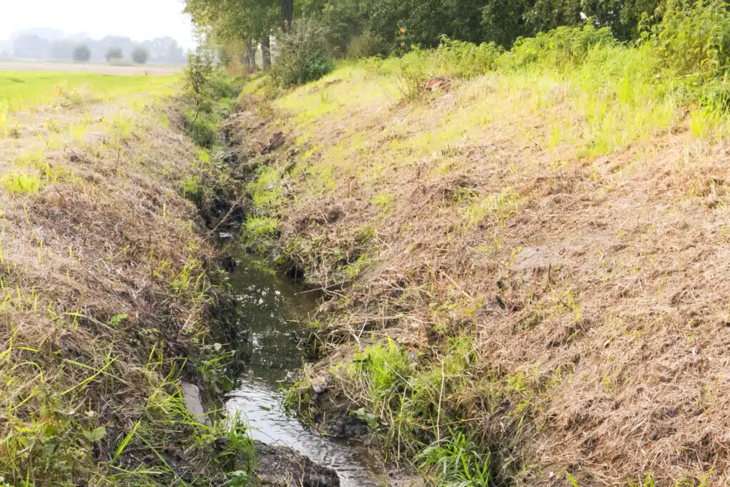 Fossé de drainage