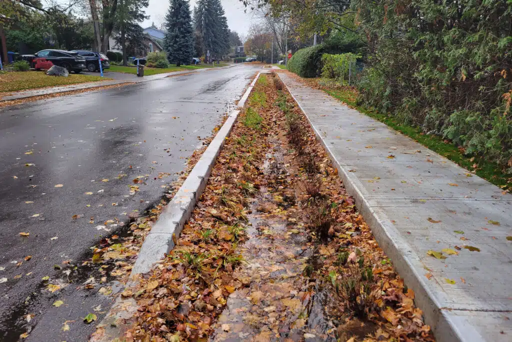 Jardin de pluie situé en bordure de la rue De La Salle