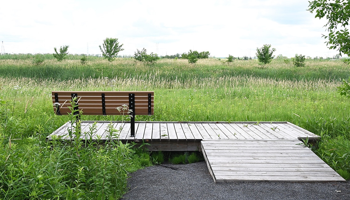 plateforme d'observation en bois avec un banc de parc dessus