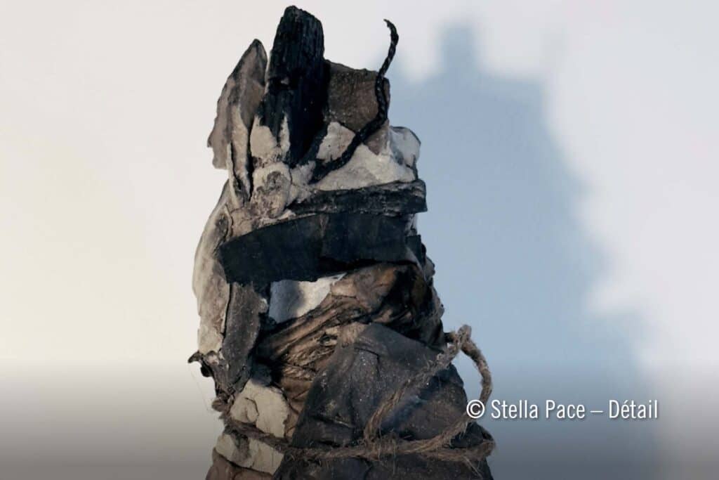 exposition Stella Pace