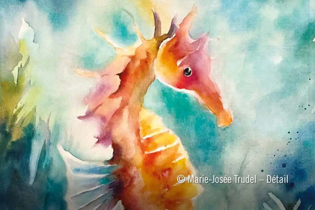 Marie-Josée Trudel - Détail - Lumière d'aquarelle - Hippocampe