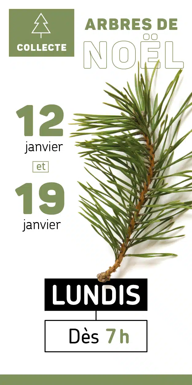 Visuel générique collecte arbres de noël