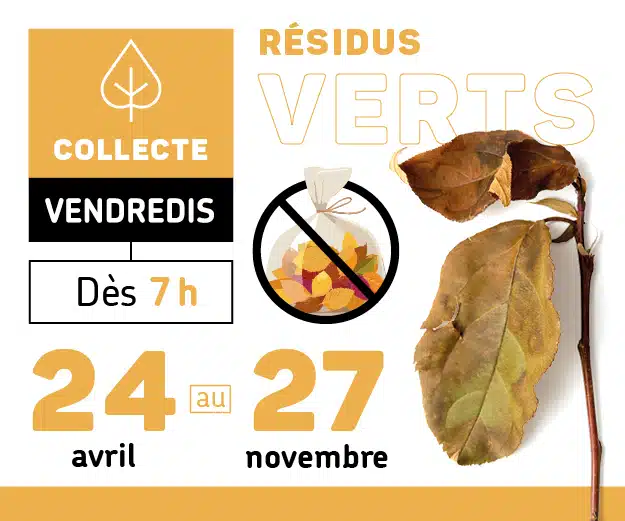 Visuel générique de la collecte de résidus verts