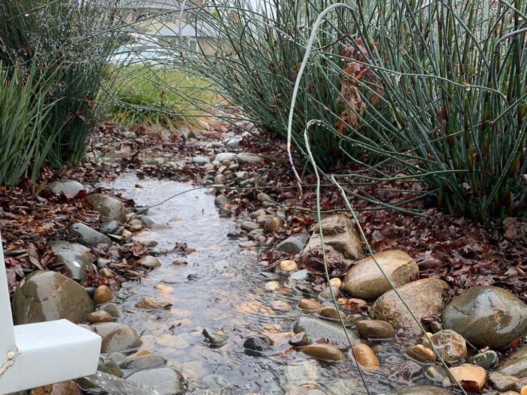 Eau qui s'écoule à travers un fossé de roche et de plantes