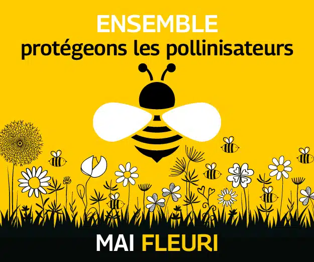 Visuel générique mai fleuri avec des fleurs et une abeille