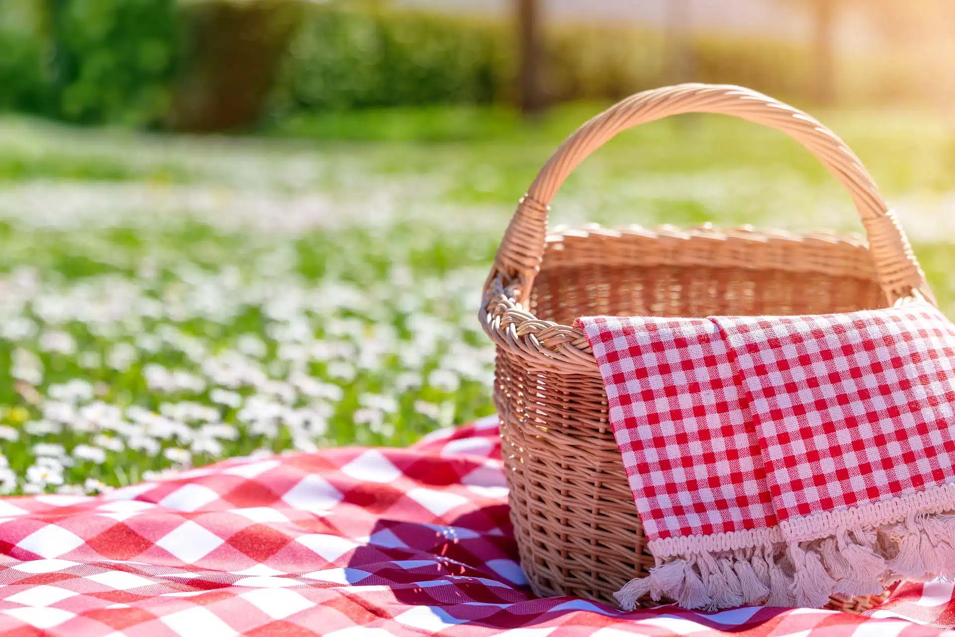 PANIER ET NAPPE CARREAUTÉE POUR PIQUE-NIQUE